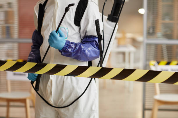Professional Sewage Cleanup technician working in Kenneth, MN